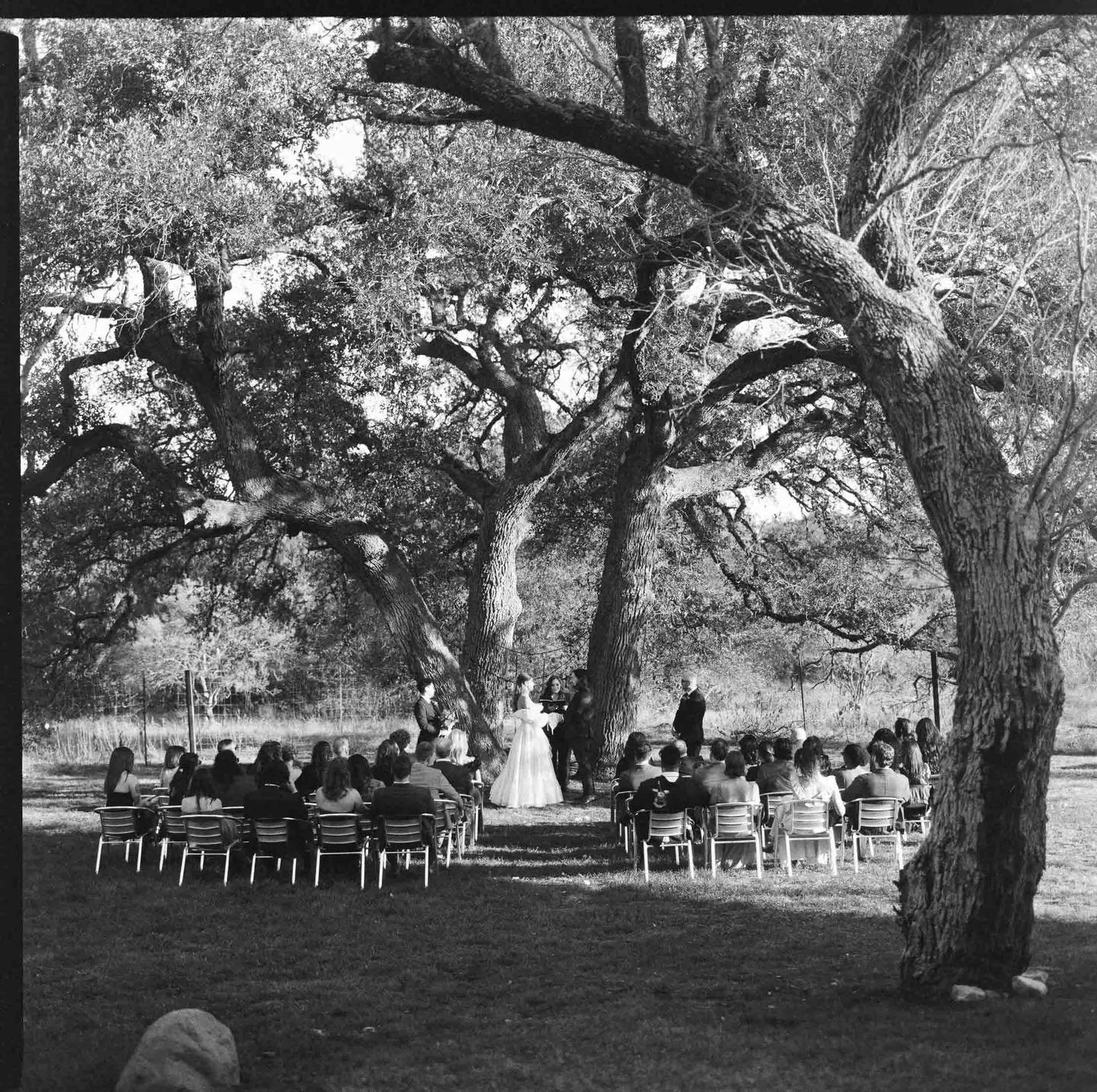 Married under the oaks. 🌳

Bonnie Burke Weddings || Austin film photographer || destination film photographer || upstate NY film photographer || Tahoe film photographer || documentary style wedding photography