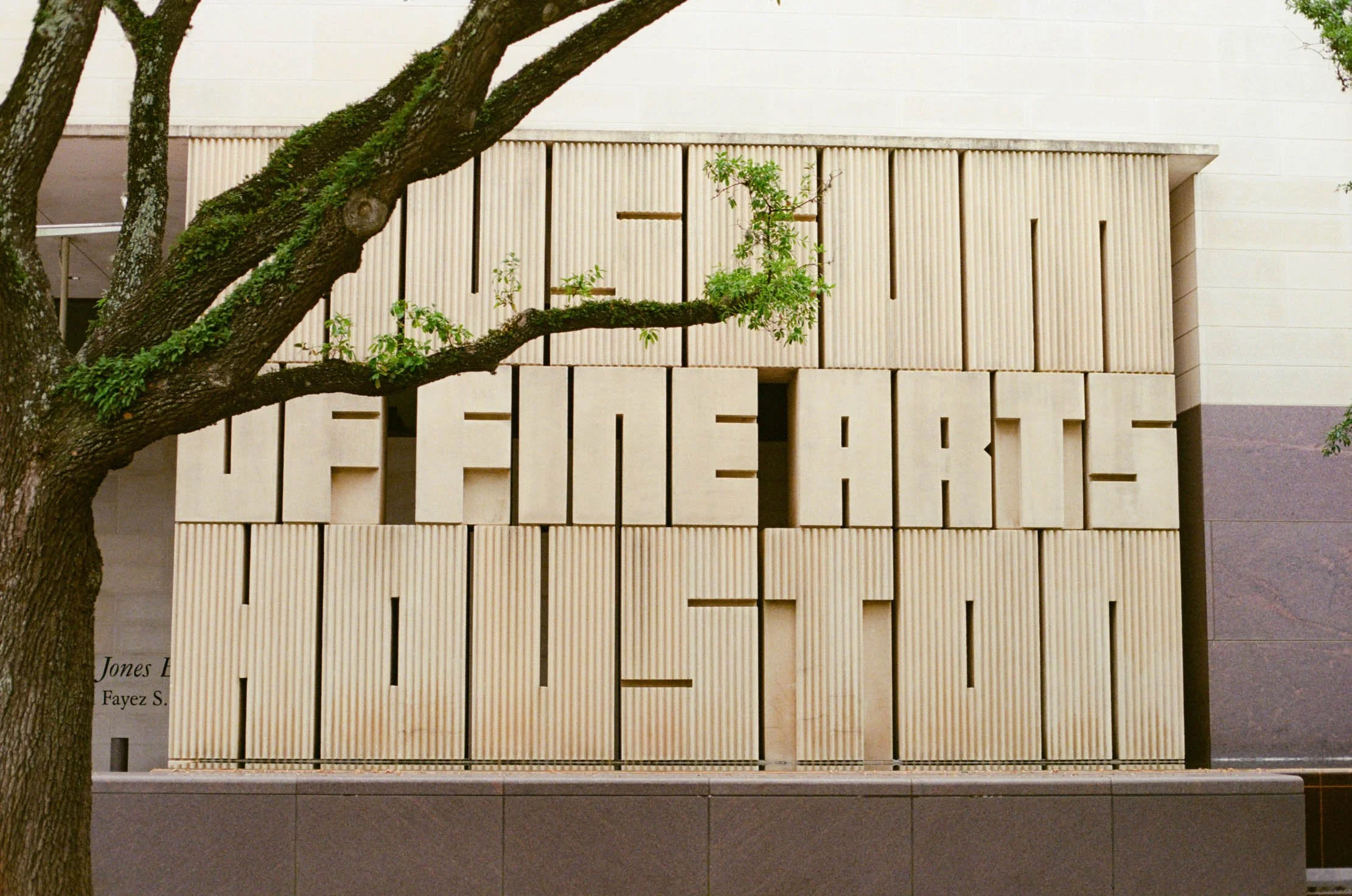 museum-of-fine-arts-houston-wedding-2029.jpg