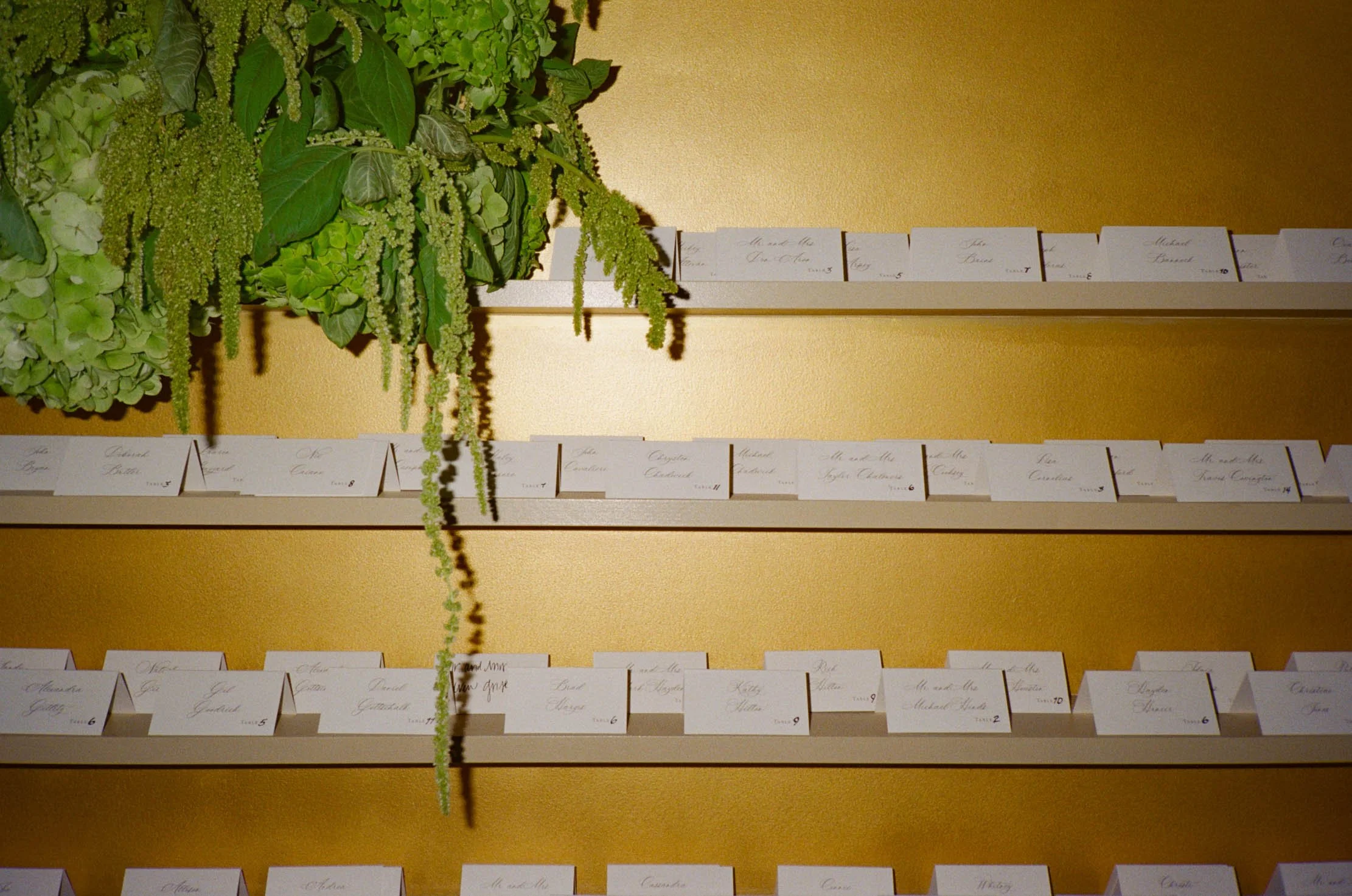 museum-of-fine-arts-houston-wedding-2105.jpg