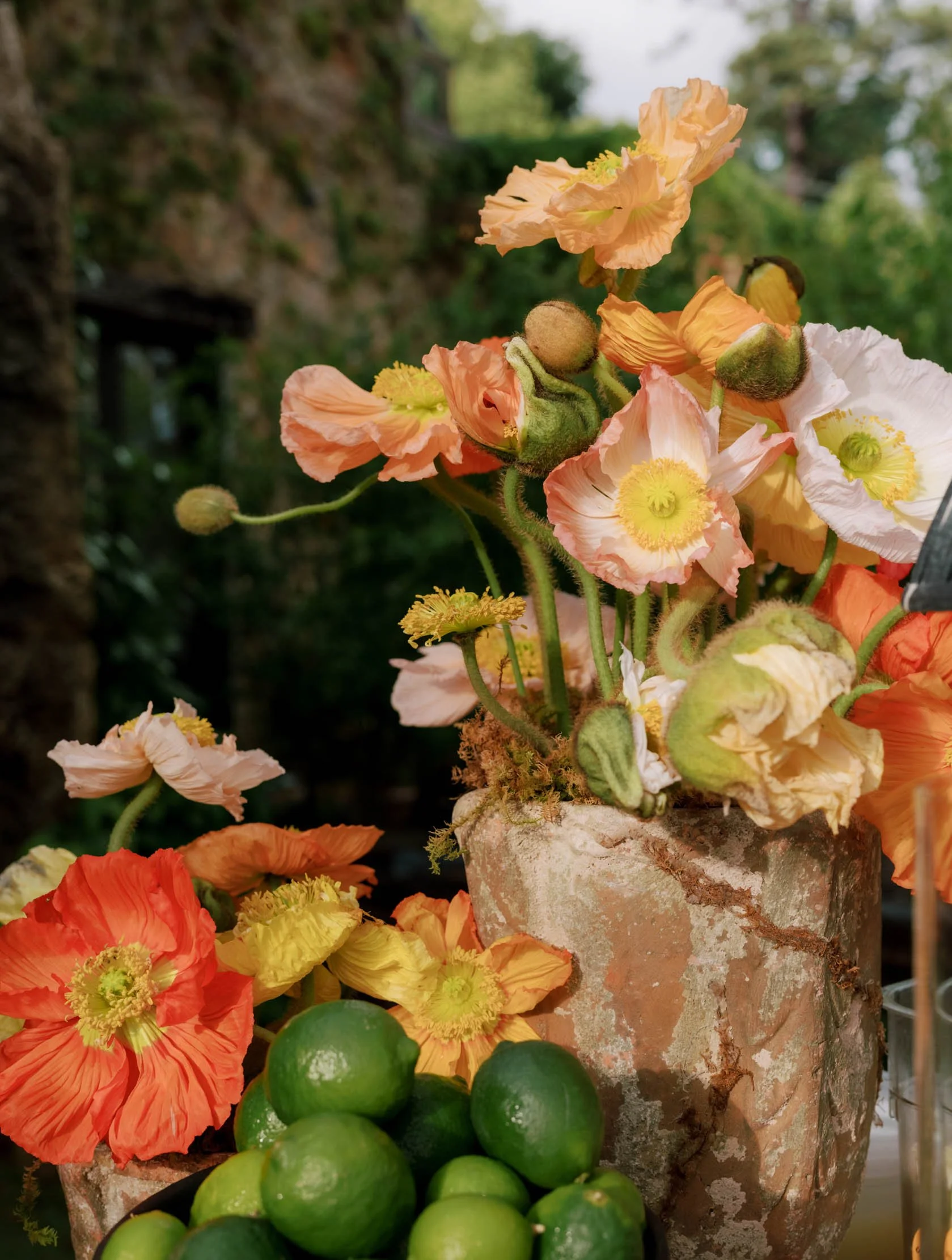 museum-of-fine-arts-houston-wedding-2013.jpg