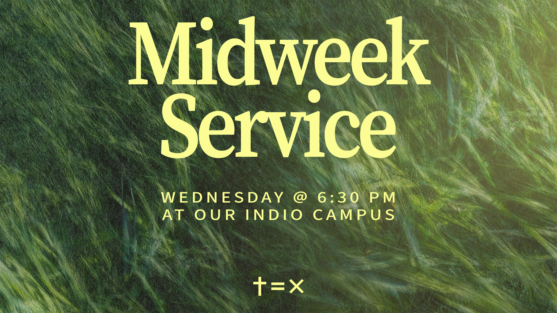 midweek-3.png
