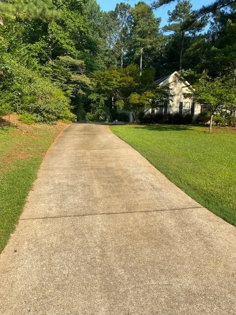 Before- Driveway Cleaning