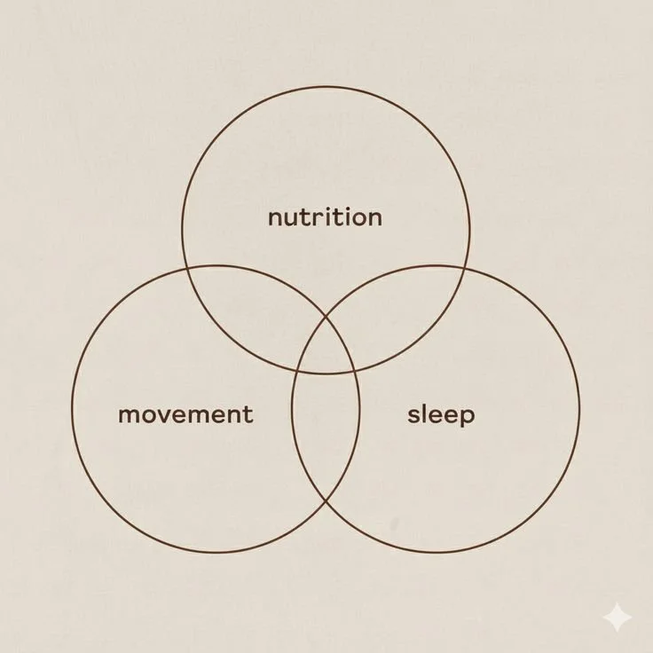 Venn diagram with three overlapping circles labeled nutrition, movement, and sleep.