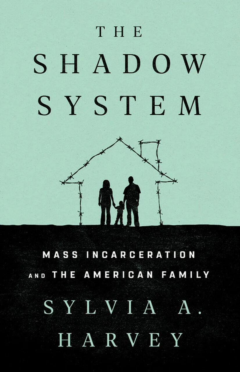 28. Adult - The Shadow System.jpg