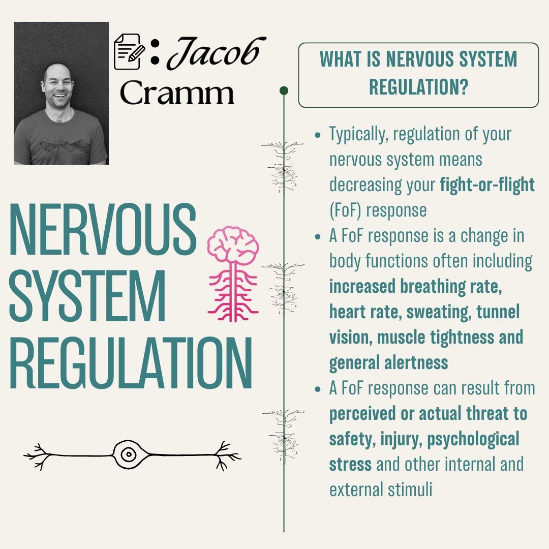 As expected, Jacob's influence is still very present at MSC (we miss you JC)! Him and Dave were working on this little tidbit on Nervous System Regulation just before his last days at the clinic, so we're happy to get it out to ya'll now! 

All pract
