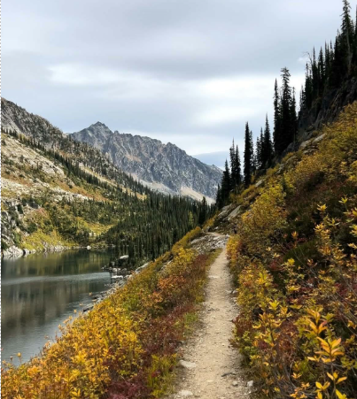 Running shoulder season
