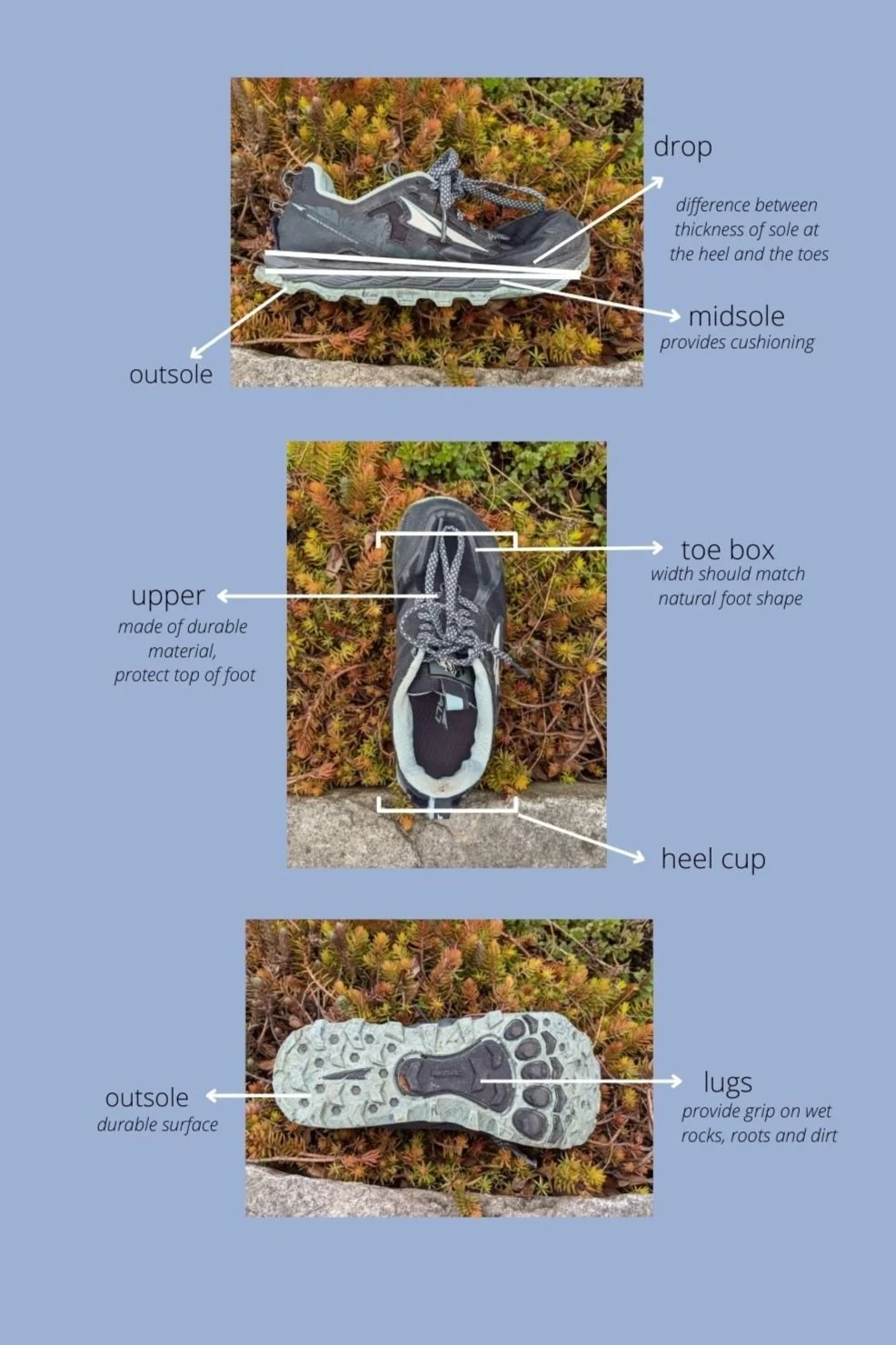 Not Every Shoe Fits - Choosing the right shoe for you. — Mountain Sport ...
