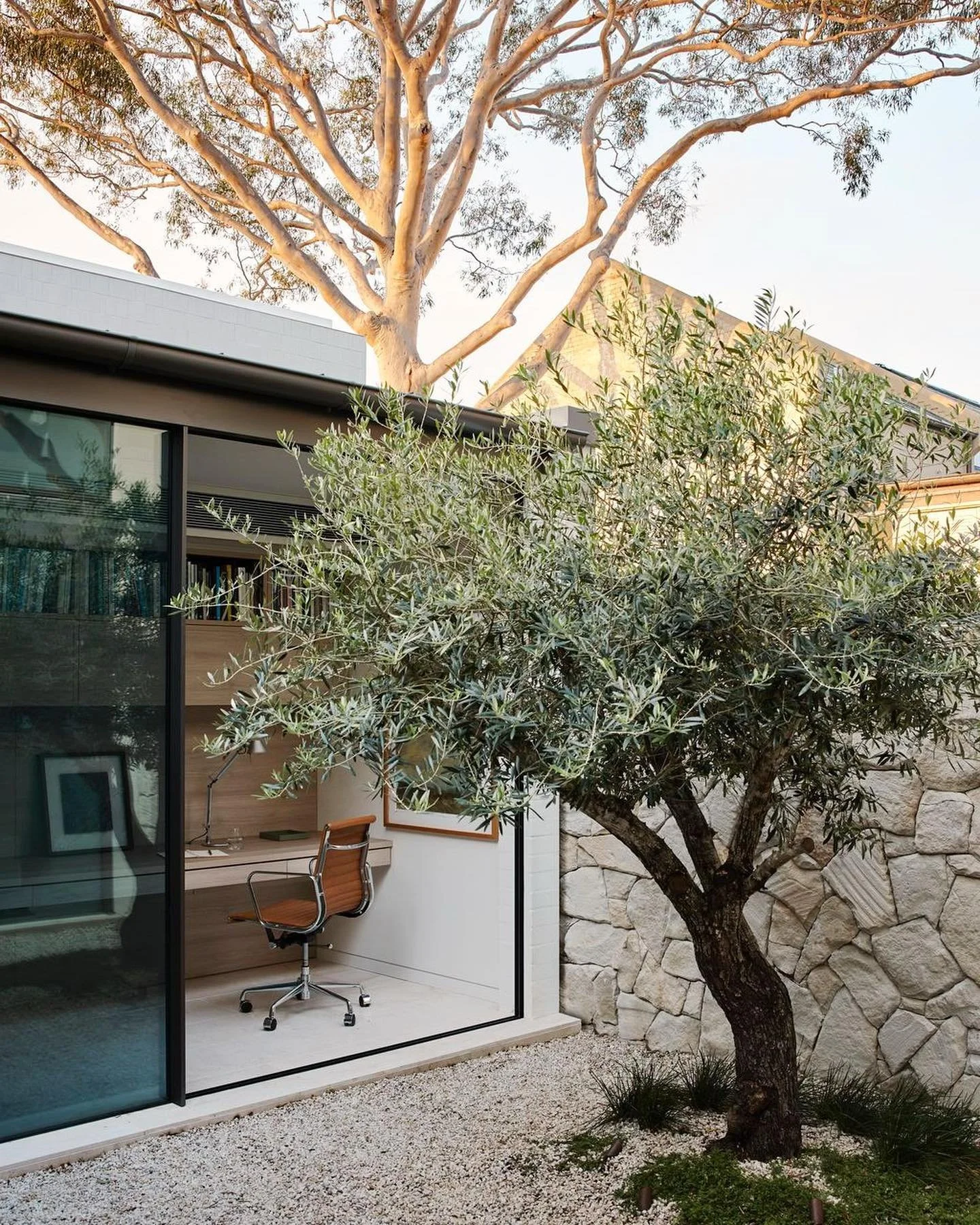 Some more images of the Woollahra project&hellip;Thank you to Asher Cole from the @thegardensocial. Your vision perfectly aligned with and enhanced the design - providing textural green spaces that linked the interior with the surrounding landscape. 