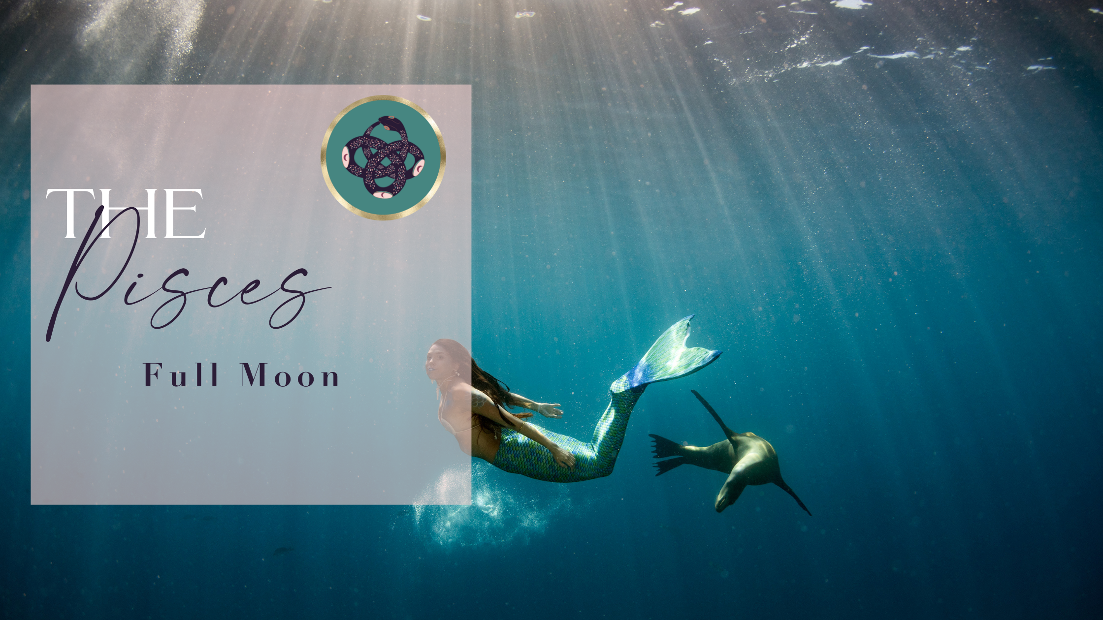 THE HARVEST PISCES♓️ FULL MOON🌕: TIME TO REAP YOUR BOUNTY🌾!