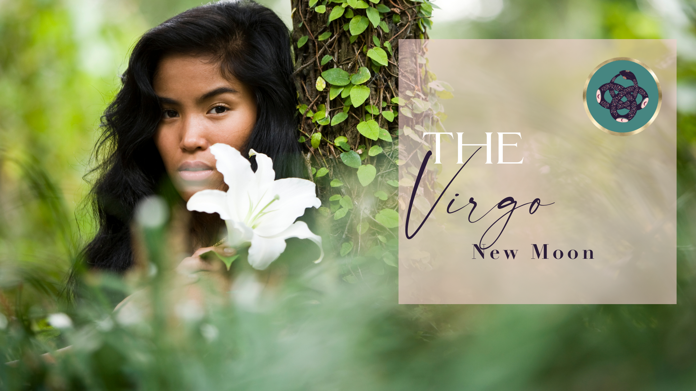 THE BODY KEEPS SCORE WITH THE VIRGO♍️ NEW MOON🌑​