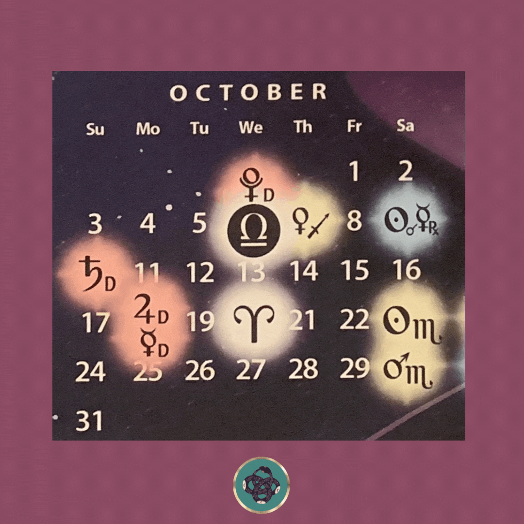 01c799_a609bc535ccc498a9bdd8b0ba0a2cee0~mv2.gif