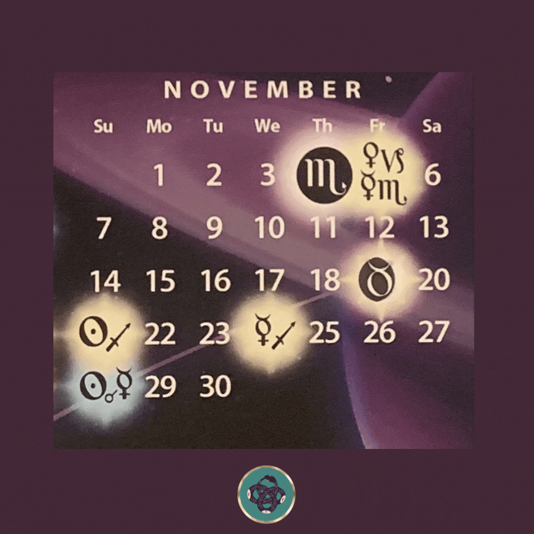 01c799_b362e8ebd00f4ae19c790bc1a9a30736~mv2.gif