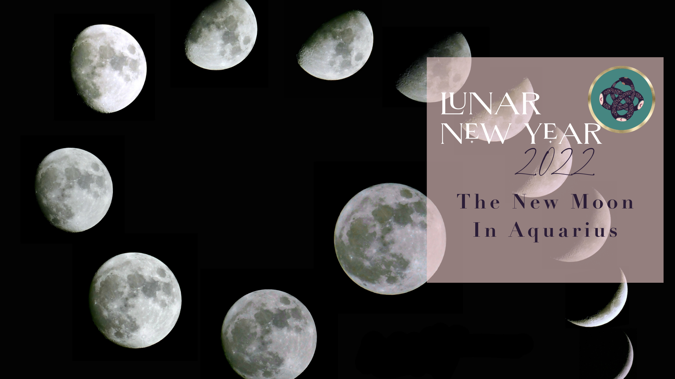LUNAR NEW YEAR 2022 &amp; THE NEW MOON IN AQUARIUS♒️​