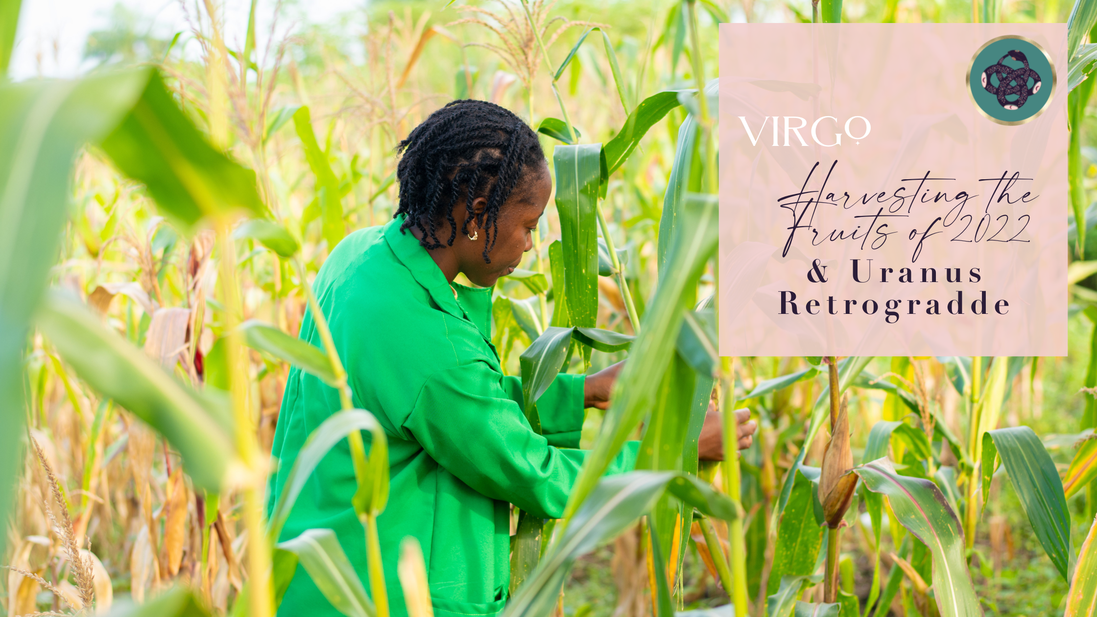 VIRGO♍️​: HARVESTING THE FRUITS🌾​ OF 2022 &amp; THE 2ND URANUS RETROGRADE