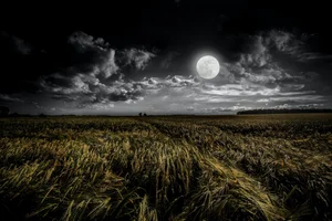 REAPING & RELEASING🌾 WITH THE PISCES HARVEST FULL MOON🌕♓️ — Eighth