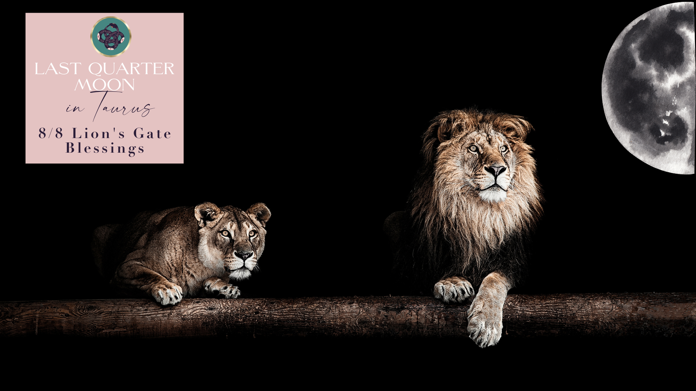 🌗 LAST QUARTER MOON IN TAURUS♉️​​ + THE 8:8 LIONS GATE BLESSINGS