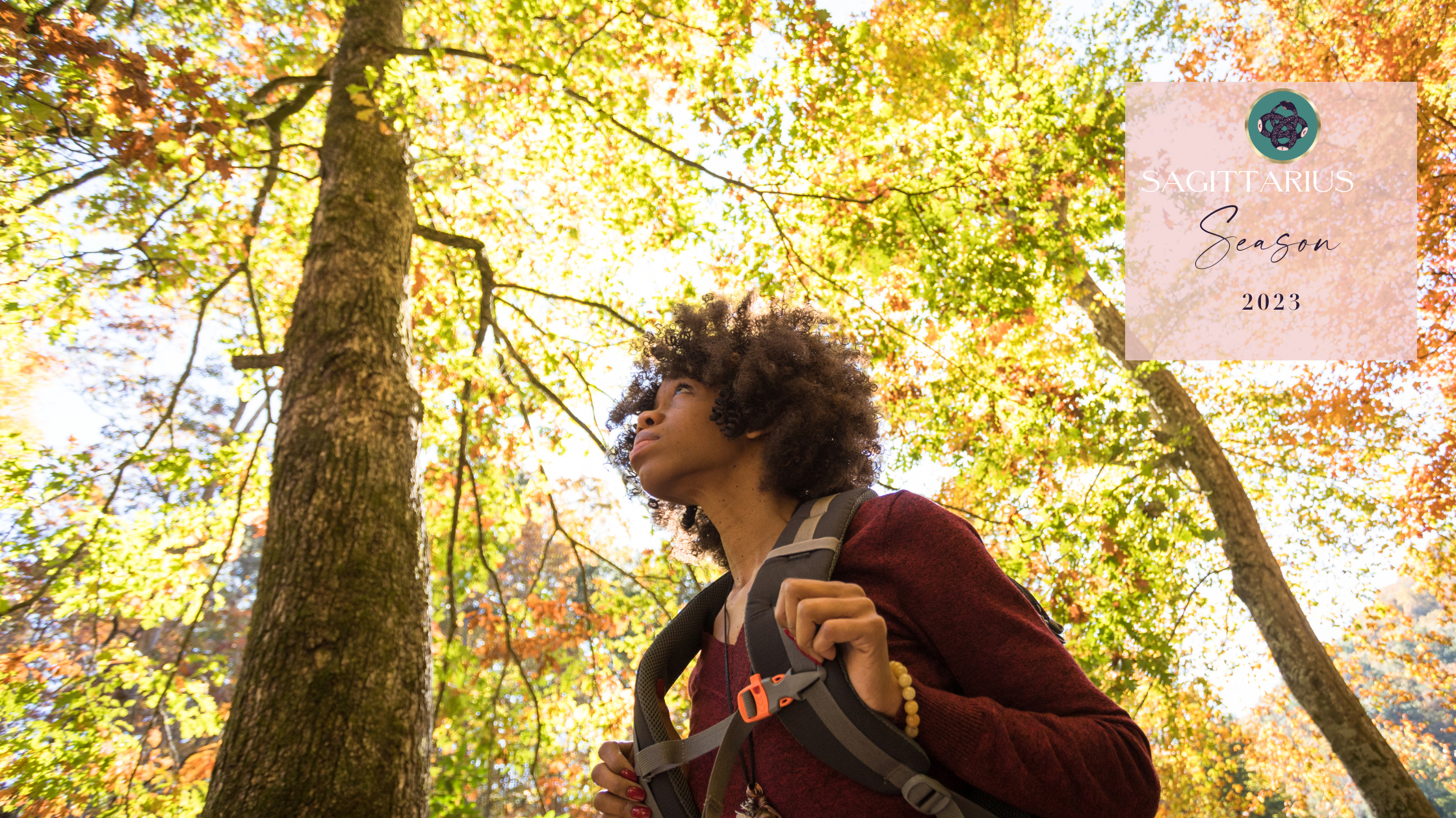 SAGITTARIUS SEASON 2023♐️​