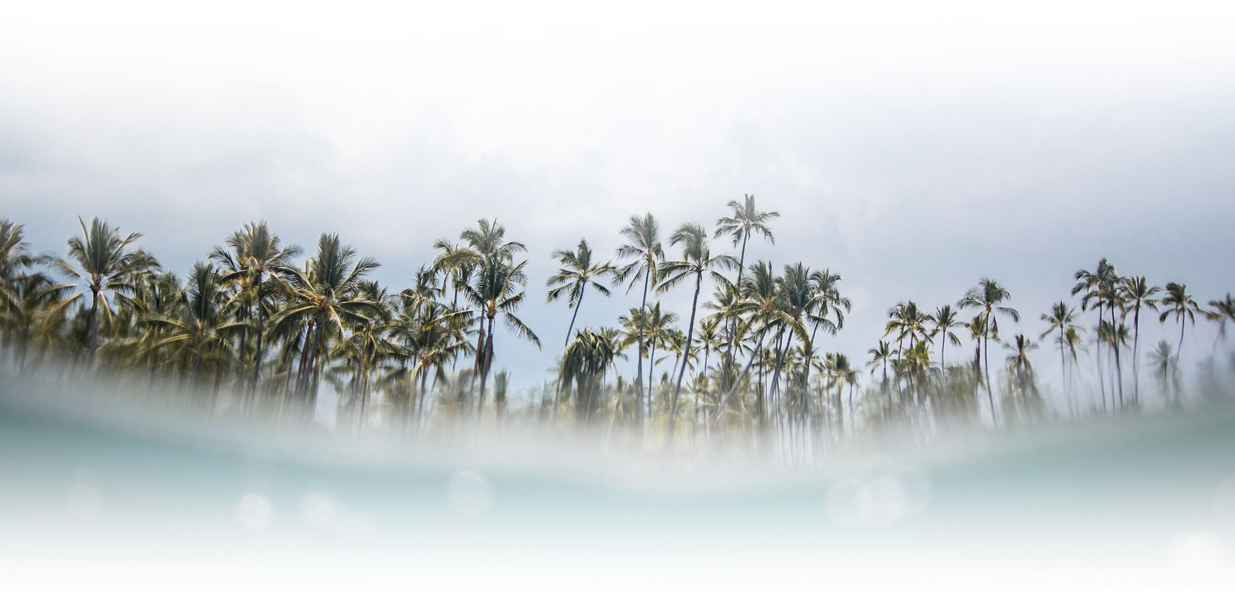 Over Under Water Image.jpg