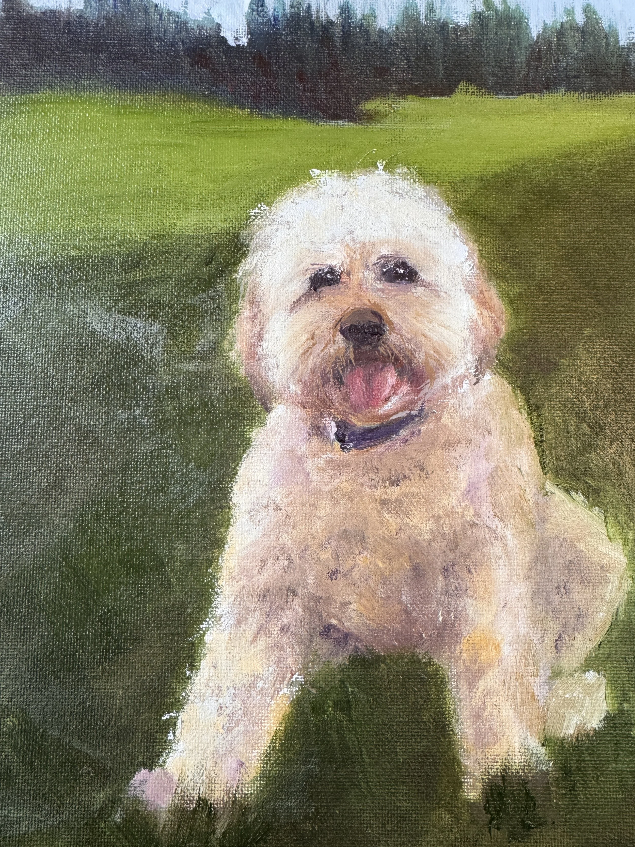 "YOUNG SOPHIA'   10X8in   Oil   Gifted