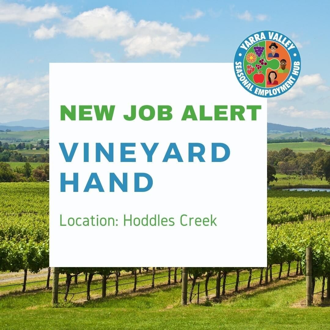 Hoddles Creek Estate are looking for someone to join their team, with the possibility for the role becoming permanent full time. Duties include pruning vines and planting, including some winery work.

Own car and own accommodation is needed as there 