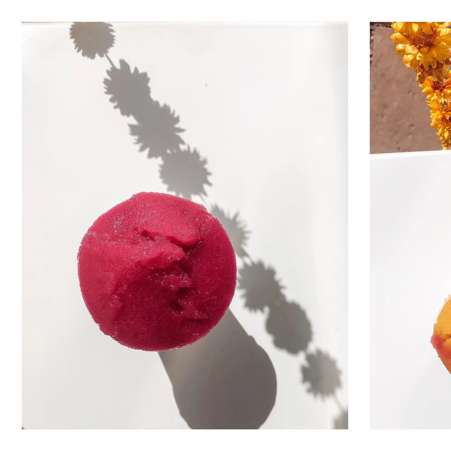 Prickly Pear + Mango ππ§‘
.
.
.
#itsallmagic #desertice #waterice #italianice #nostalgia #zion #zionnp #zionnationalpark #visitutah #southernutah #springdaleutah
