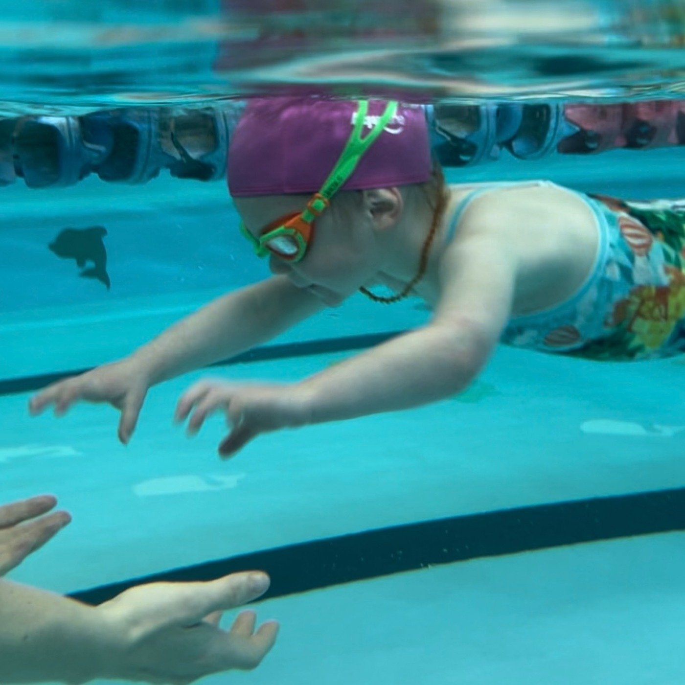 Speedy little swimmers 💪

 #learntoswim #joy #swimtasticnz