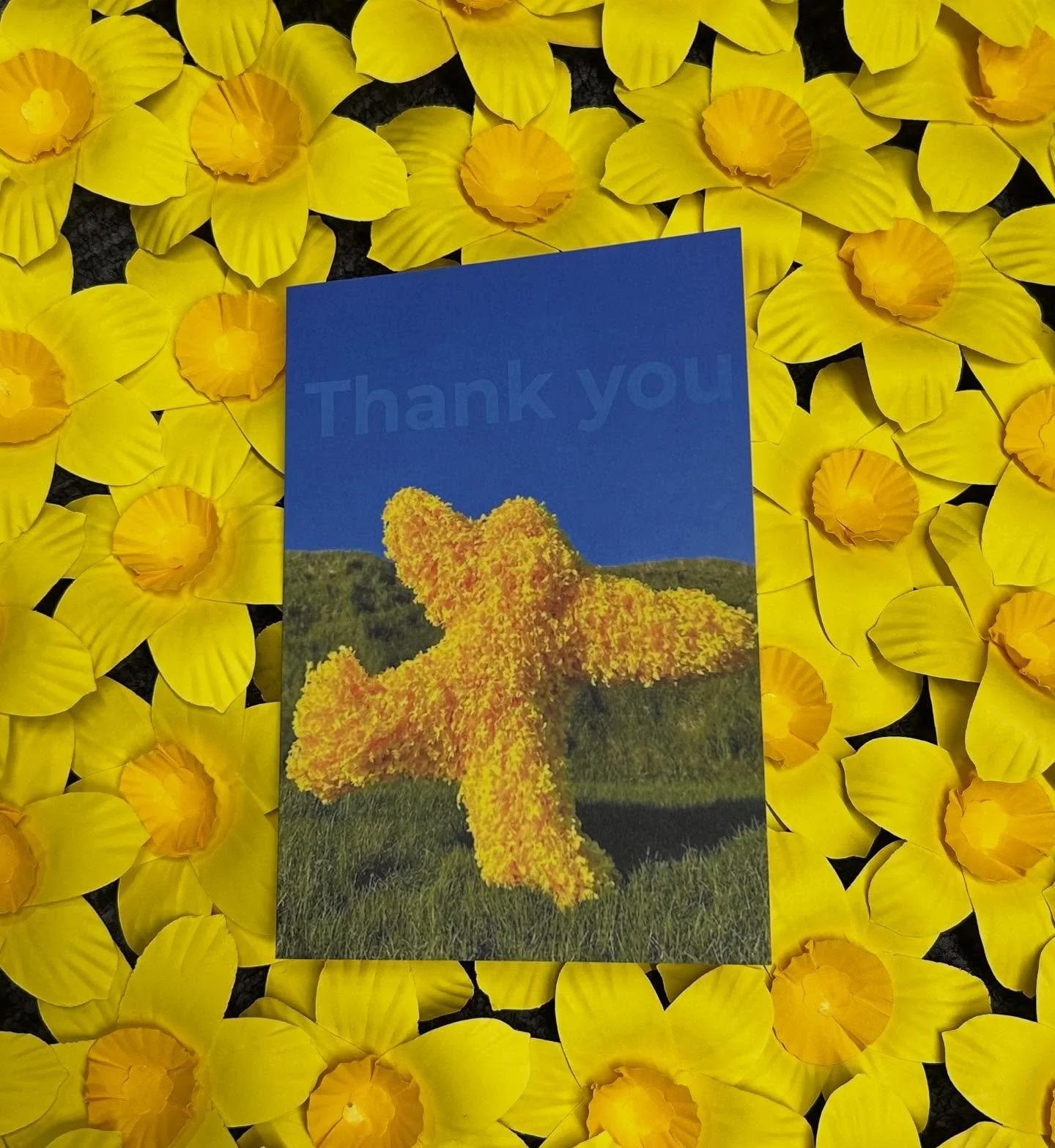 A nice thank you to receive from @cancersocietynewzealand and many thanks to all that supported our fundraiser for Daffodil Day 🌼