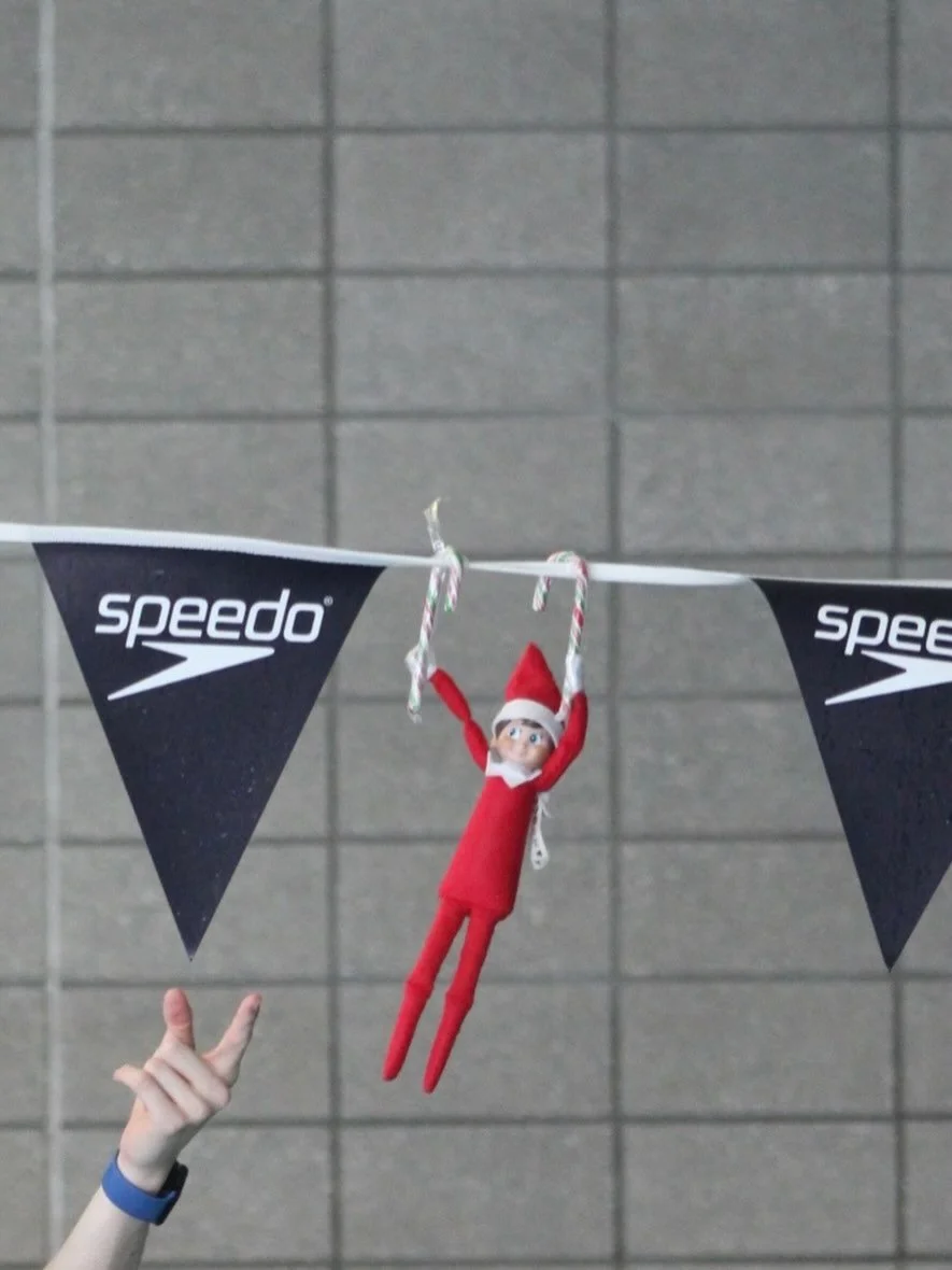 1st December - guess who&rsquo;s back in town?
Keep an eye out for our naughty elf🎅

#naughtyelf #swimtasticnz #joy