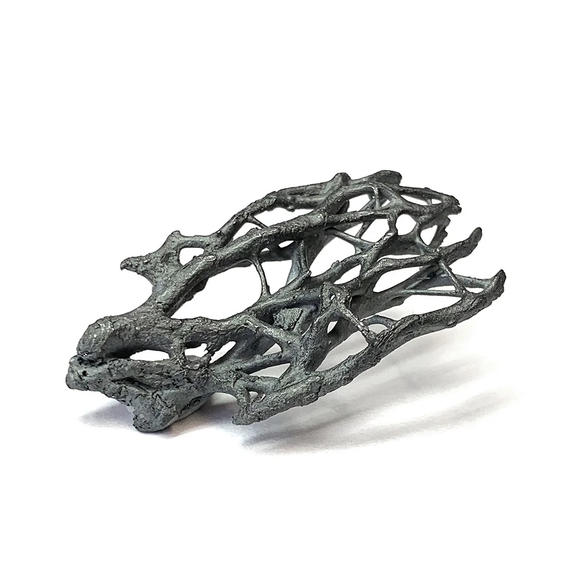 branchtabgle ox silver.jpg