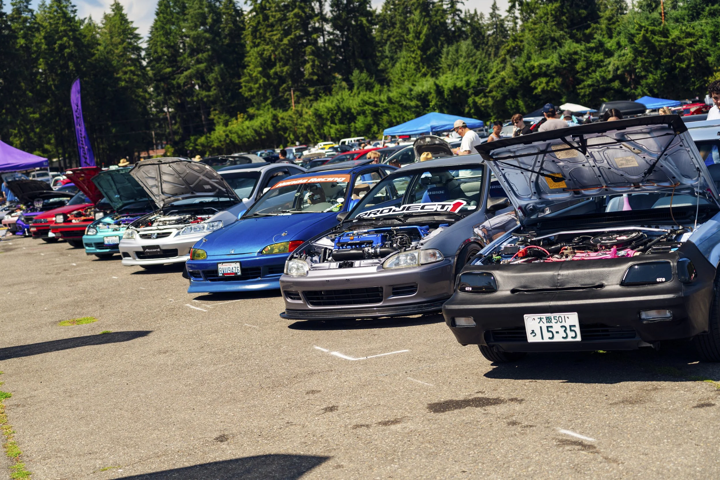 _7R30968.jpg