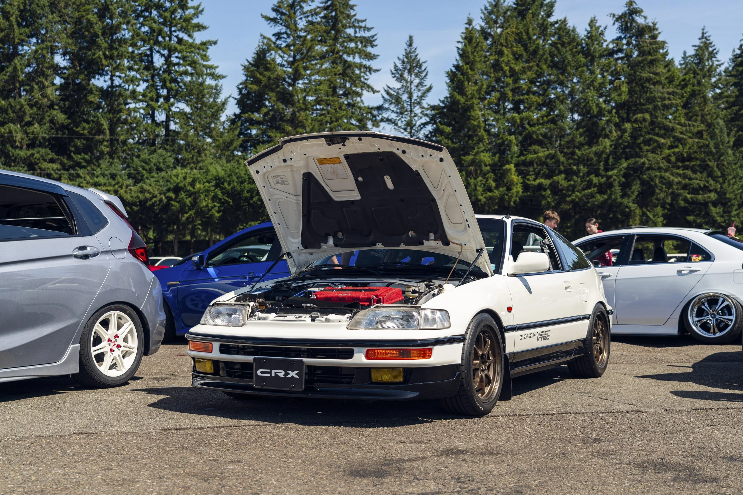 _7R30843.jpg