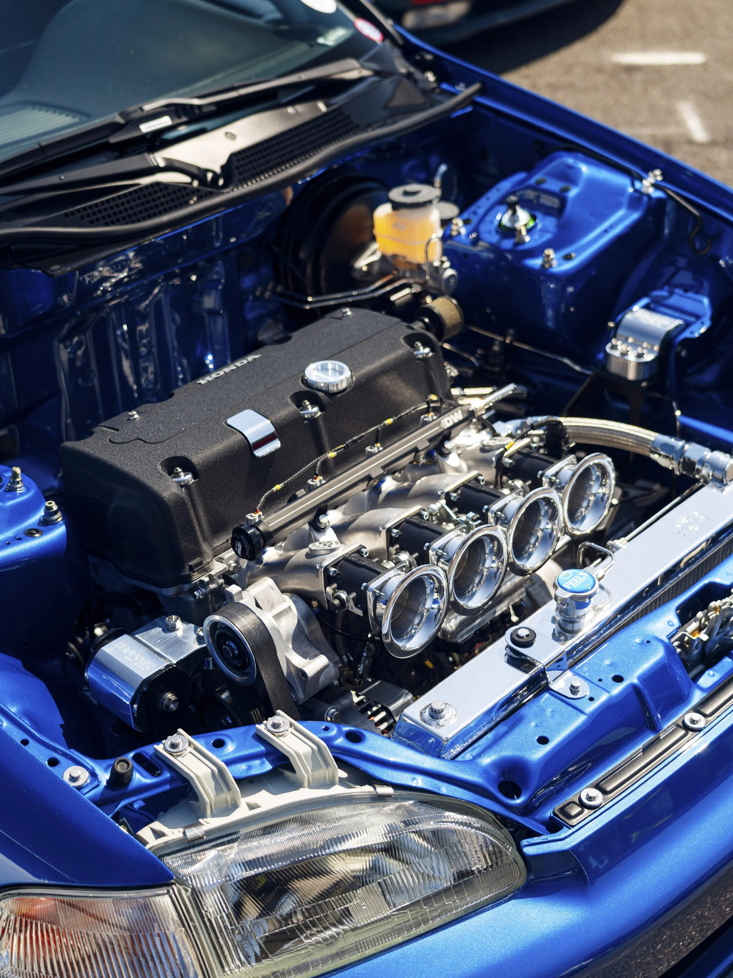 _7R30770.jpg