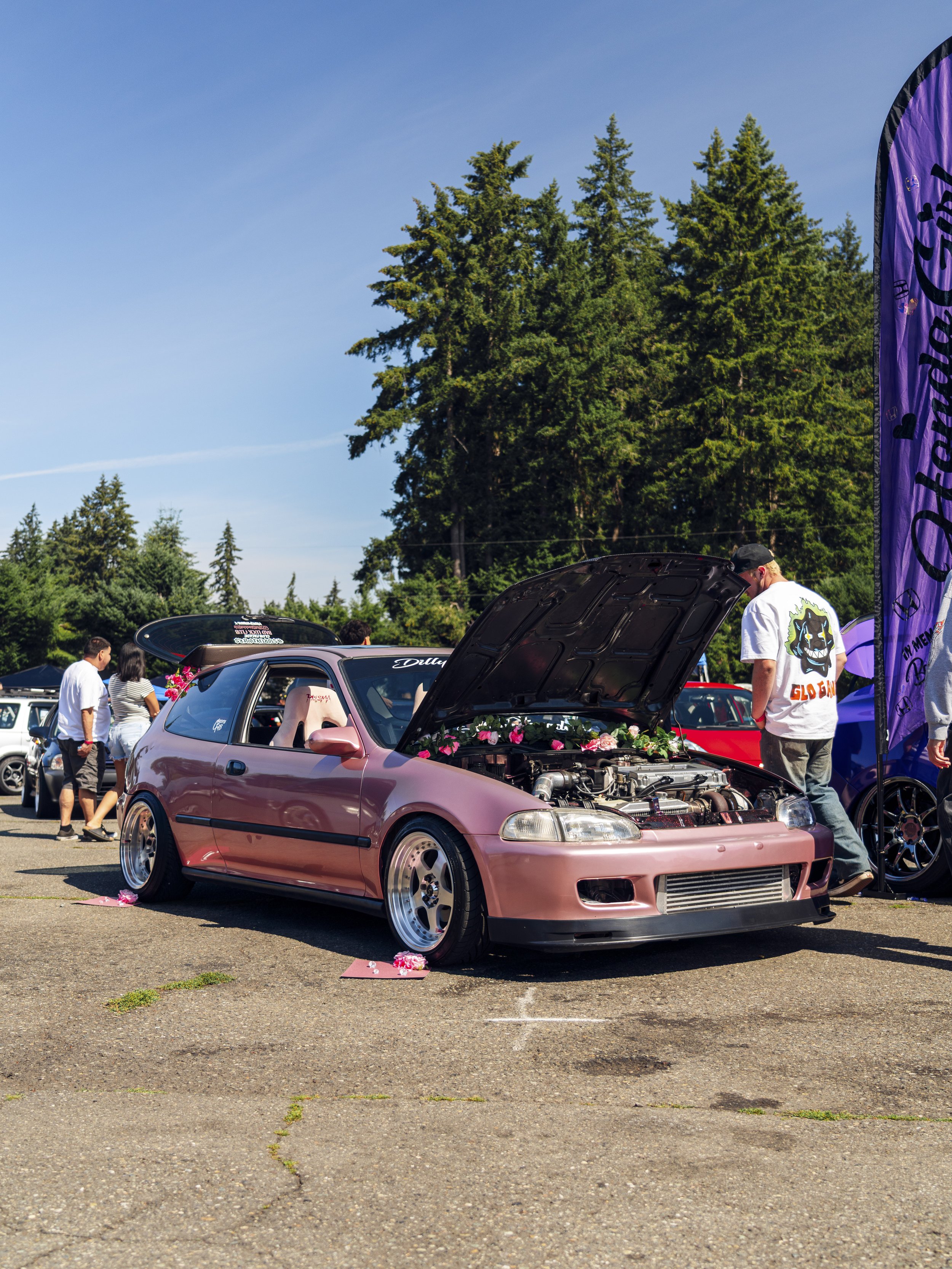 _7R30733.jpg
