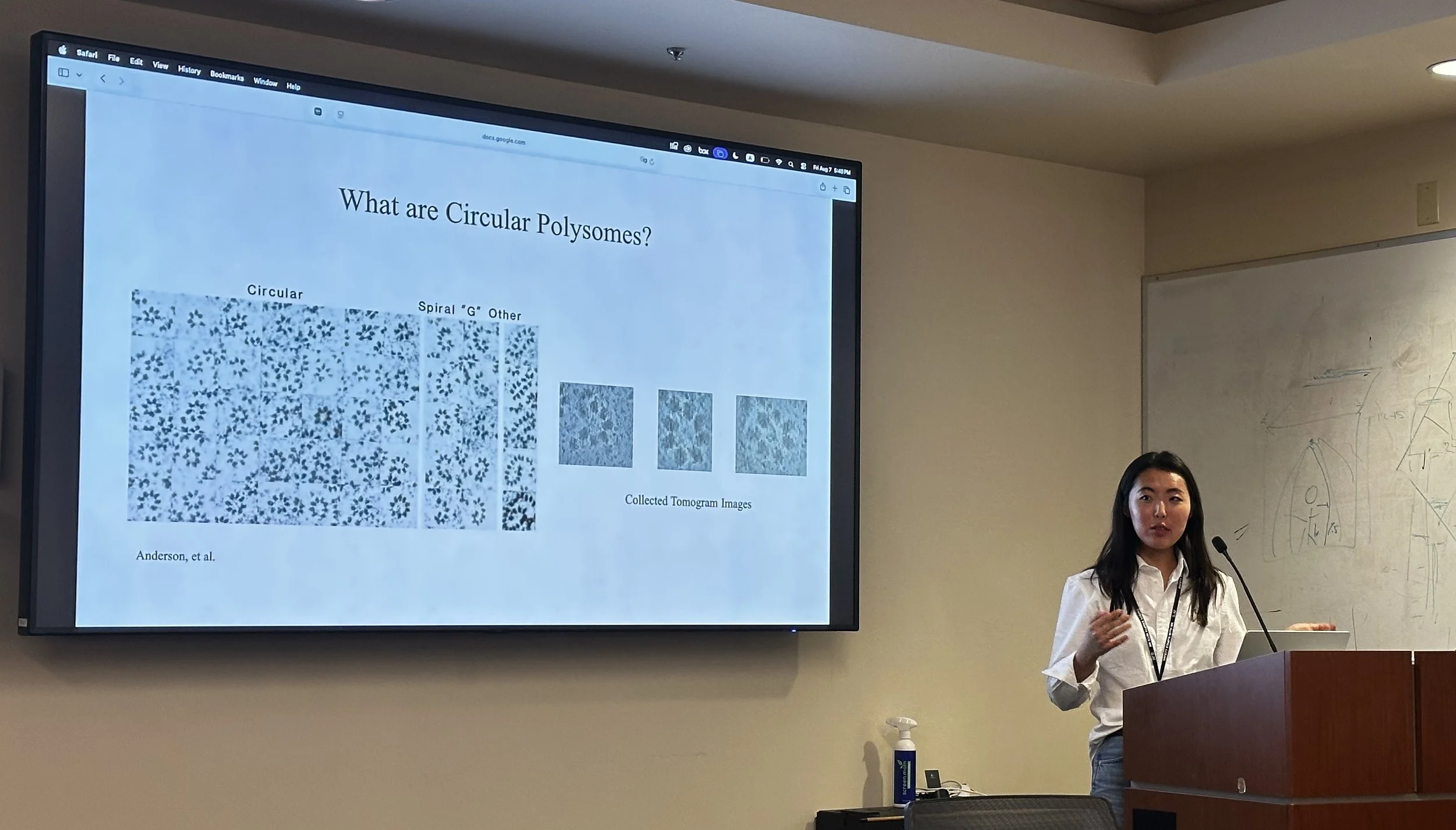 2026_08-019-Chiu_Lab_Summer_Intern_Presentation.jpg