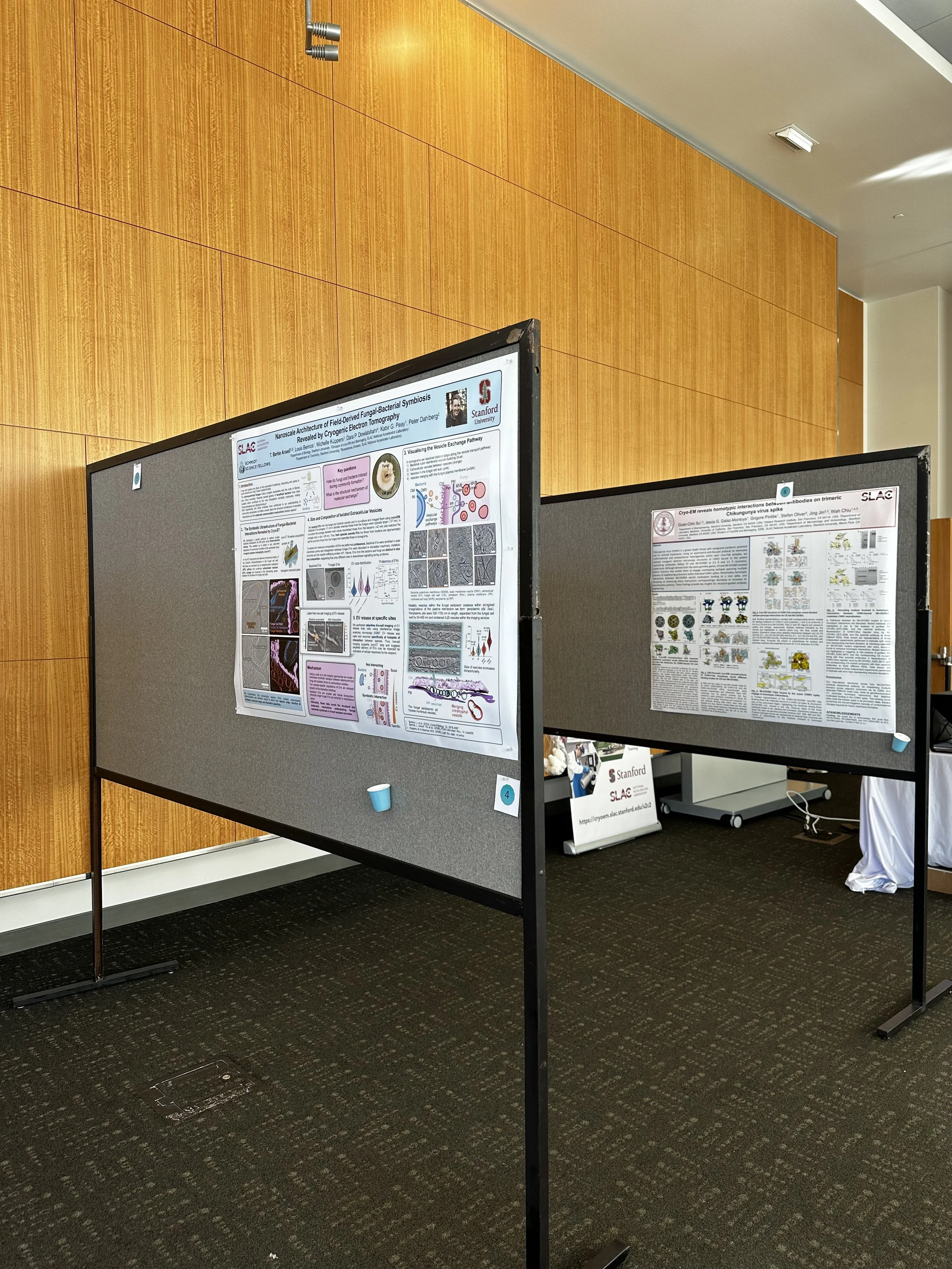 Posters waiting for an audience...