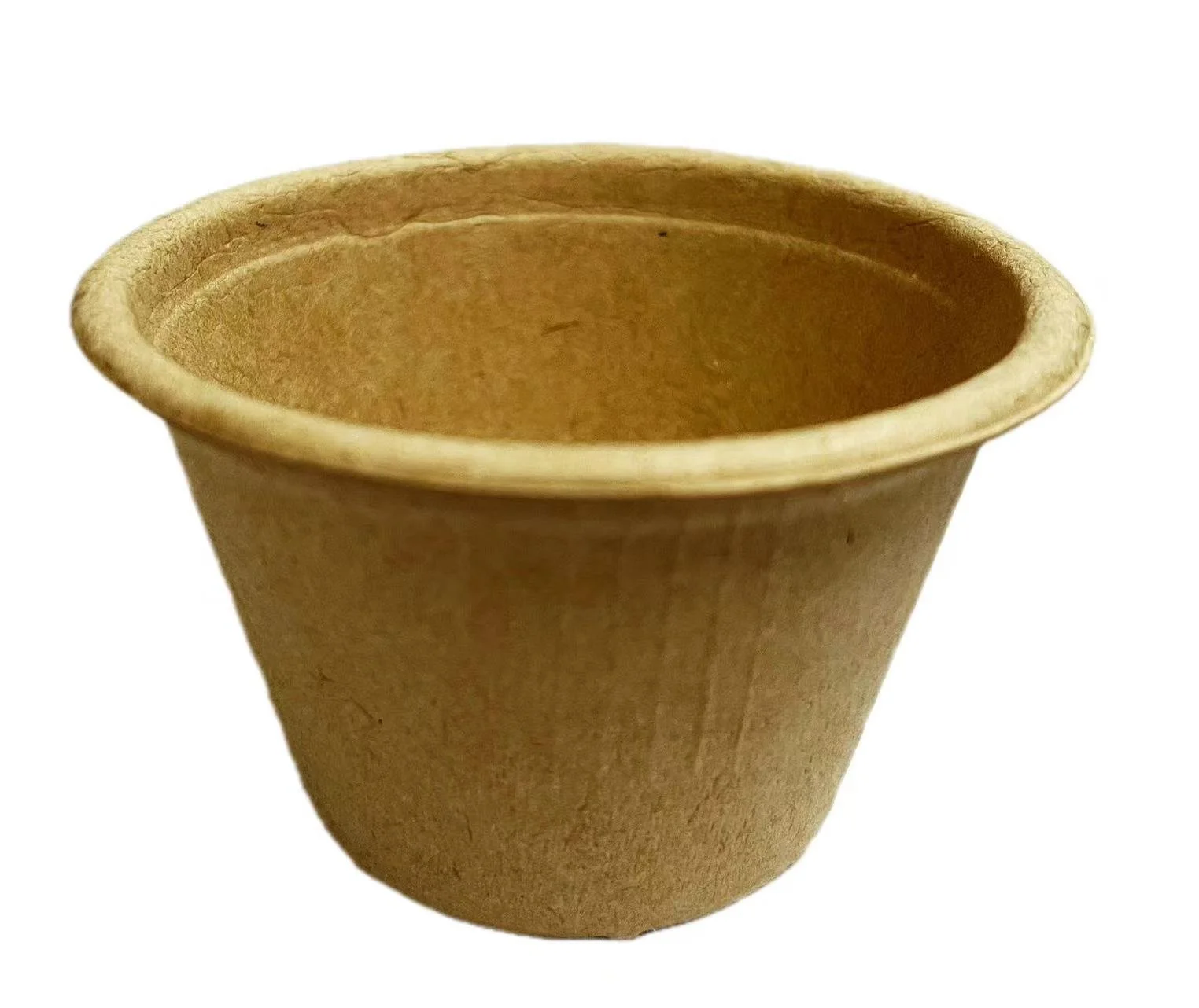 sauce cup large.jpg
