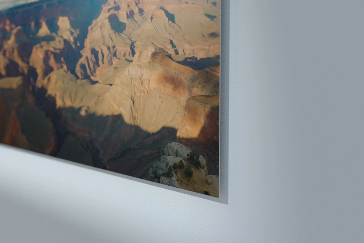 Metal-Prints_White Close Up_001.JPG
