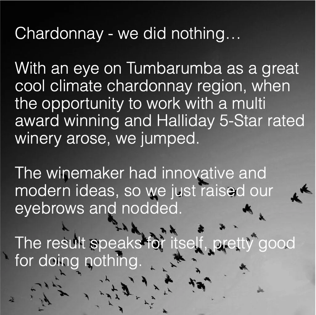 Chard 3.jpg