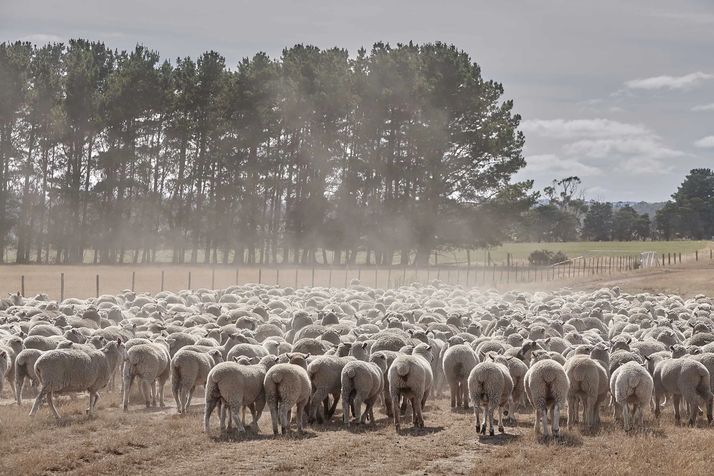 Professional Photographer- expectations and reality