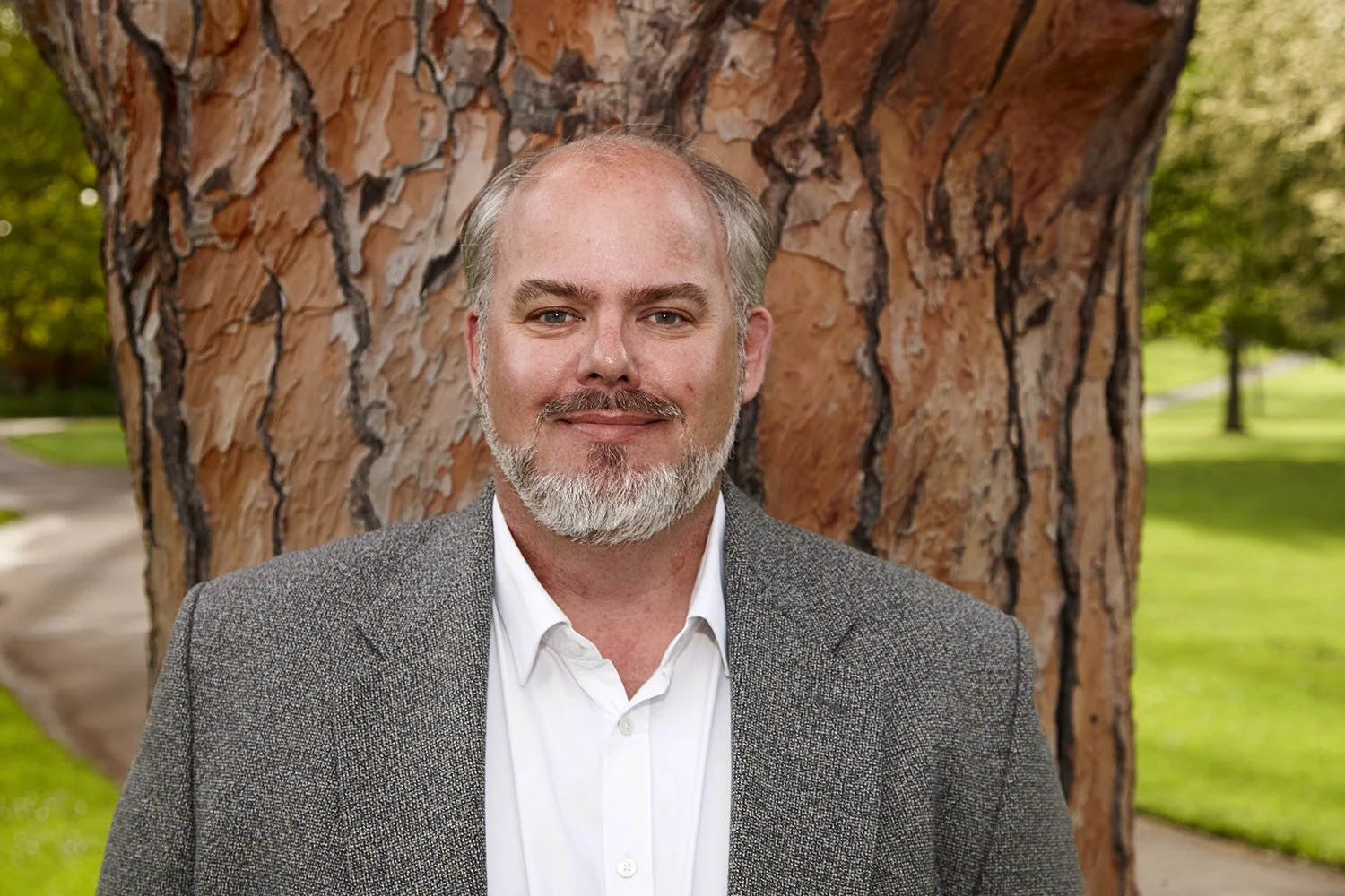 A man with a beard and gray hair, wearing a white shirt and gray blazer, stands in front of a large tree with peeling bark in a park with green grass and trees in the background.