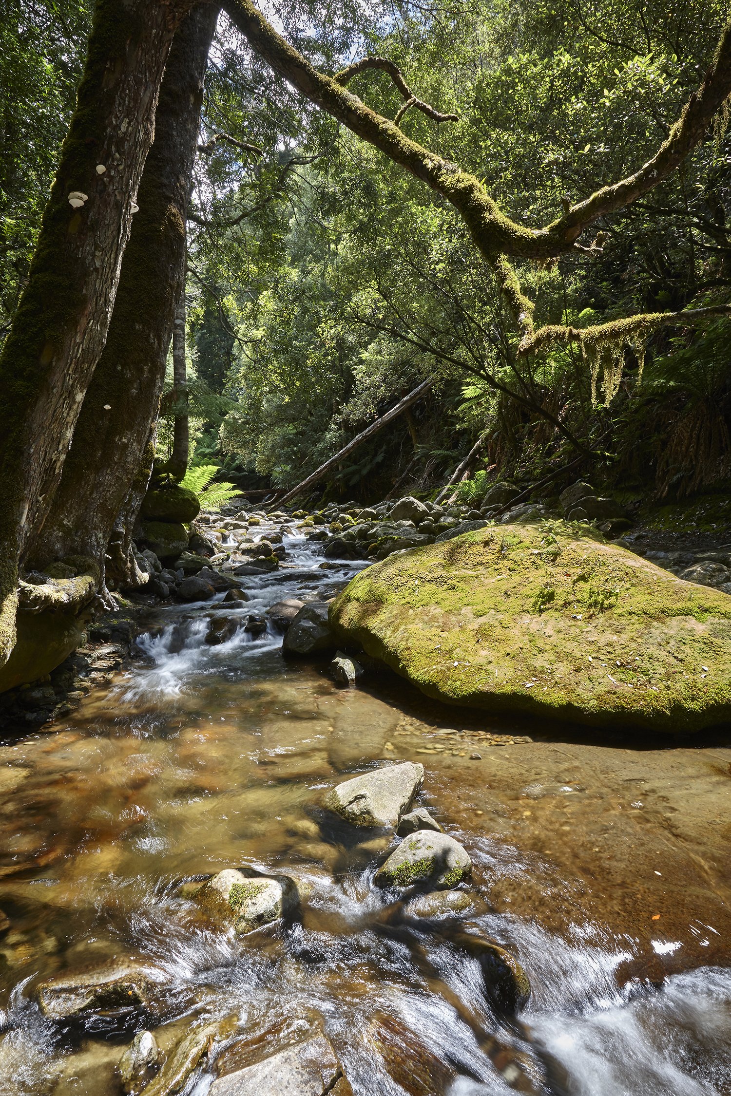 ©_Dave_Groves_Photography_Stream_Over_Rocks.jpg