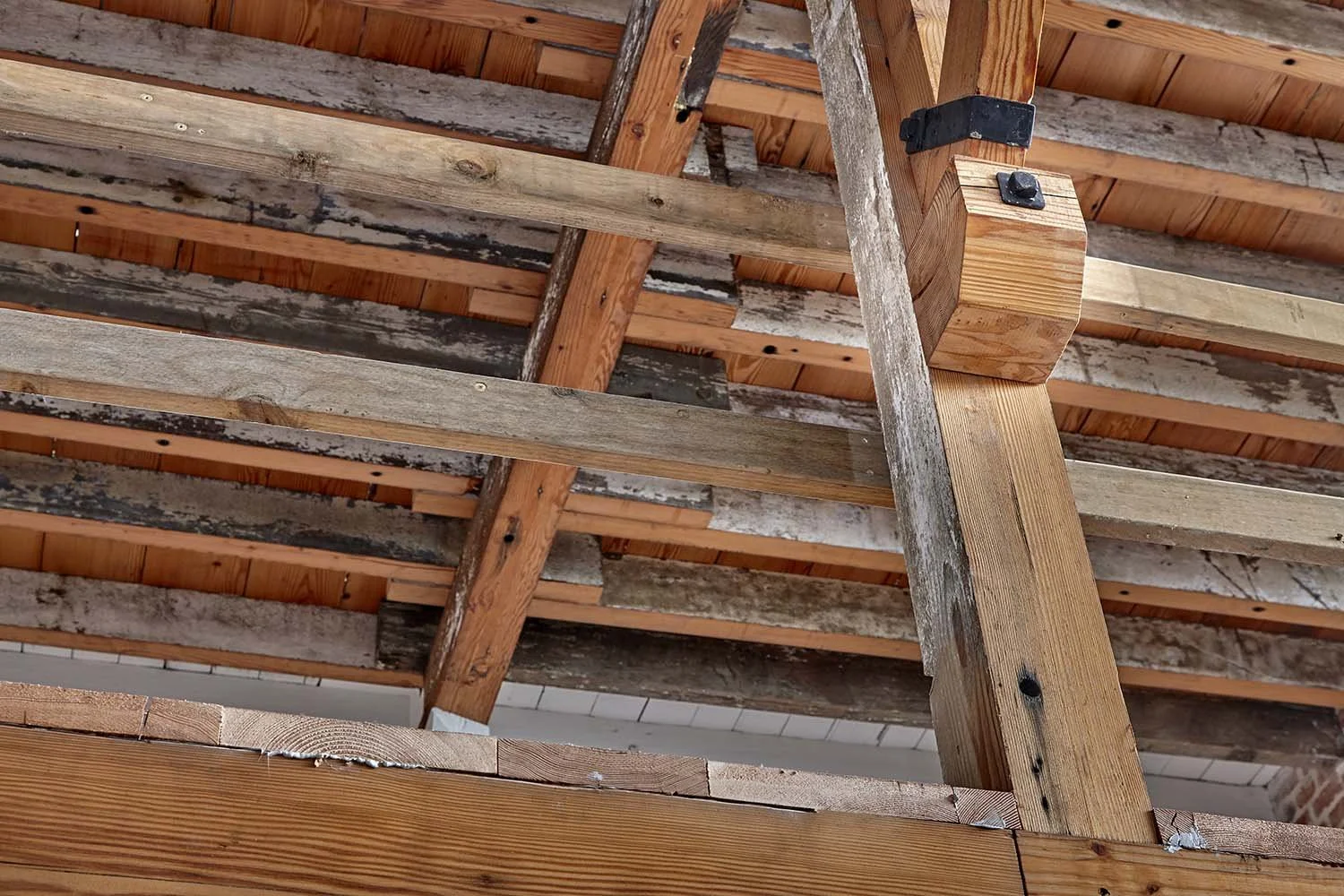 ©_Dave_Groves_Photography_CH_Smith_timber_bracing.jpg