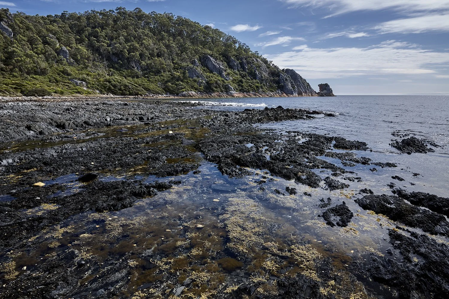 ©_Dave_Groves_Photography_Lifestyle_NW_Tasmania_Sisters_Beach_Boat_Access.jpg