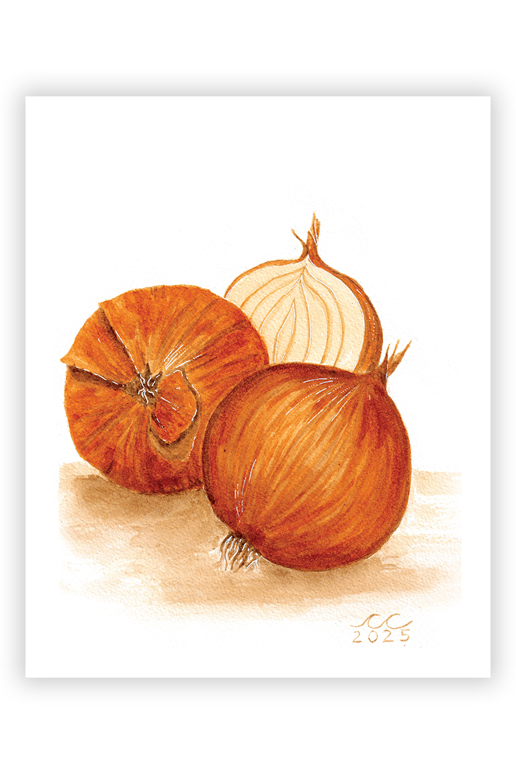 YellowOnion.png
