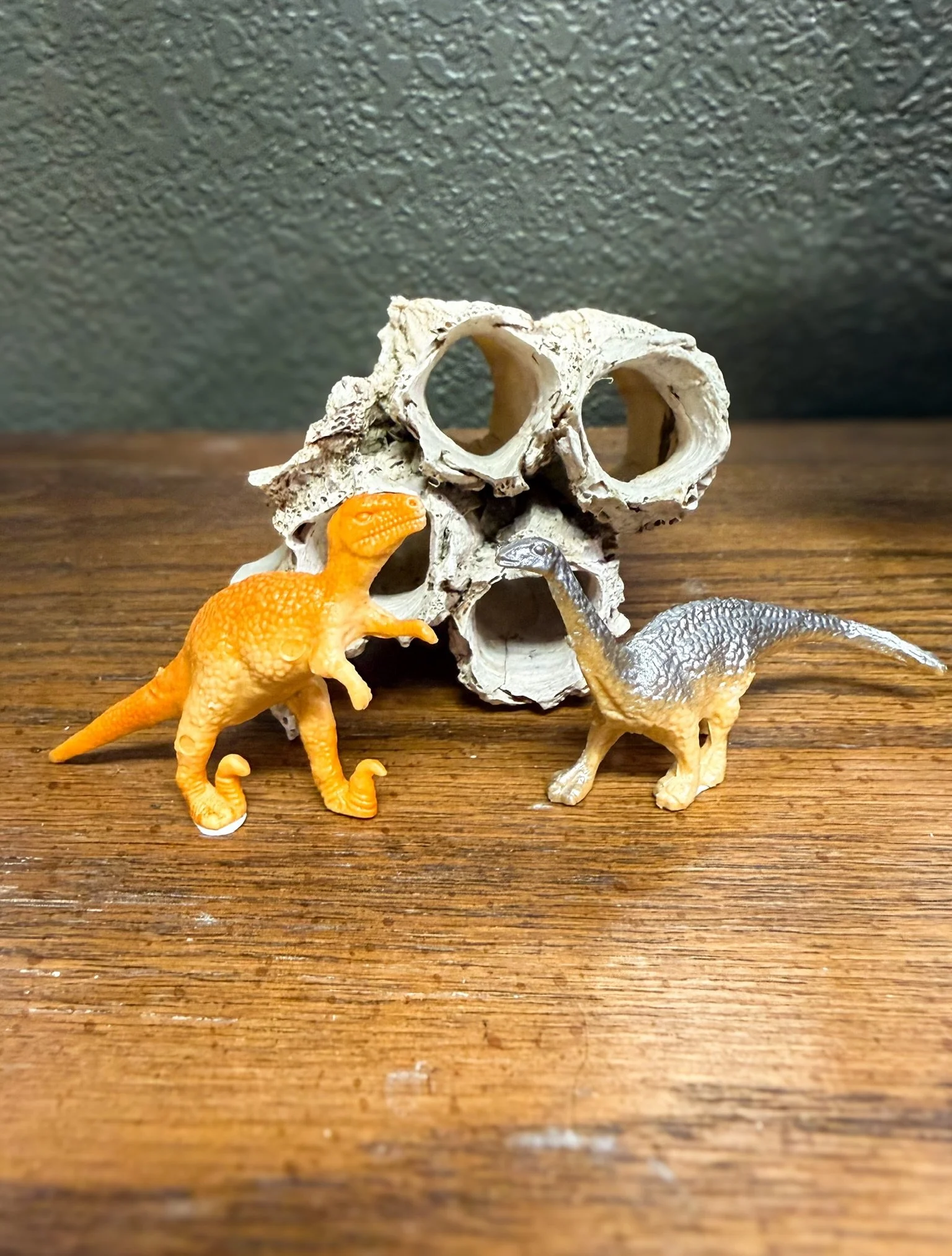 I&rsquo;ve always had a love for tiny things, and I can&rsquo;t ever leave the beach without bringing home a little treasure from the day. Naturally, my miniature collection and beach finds have started coming together around the studio! 
You&rsquo;l