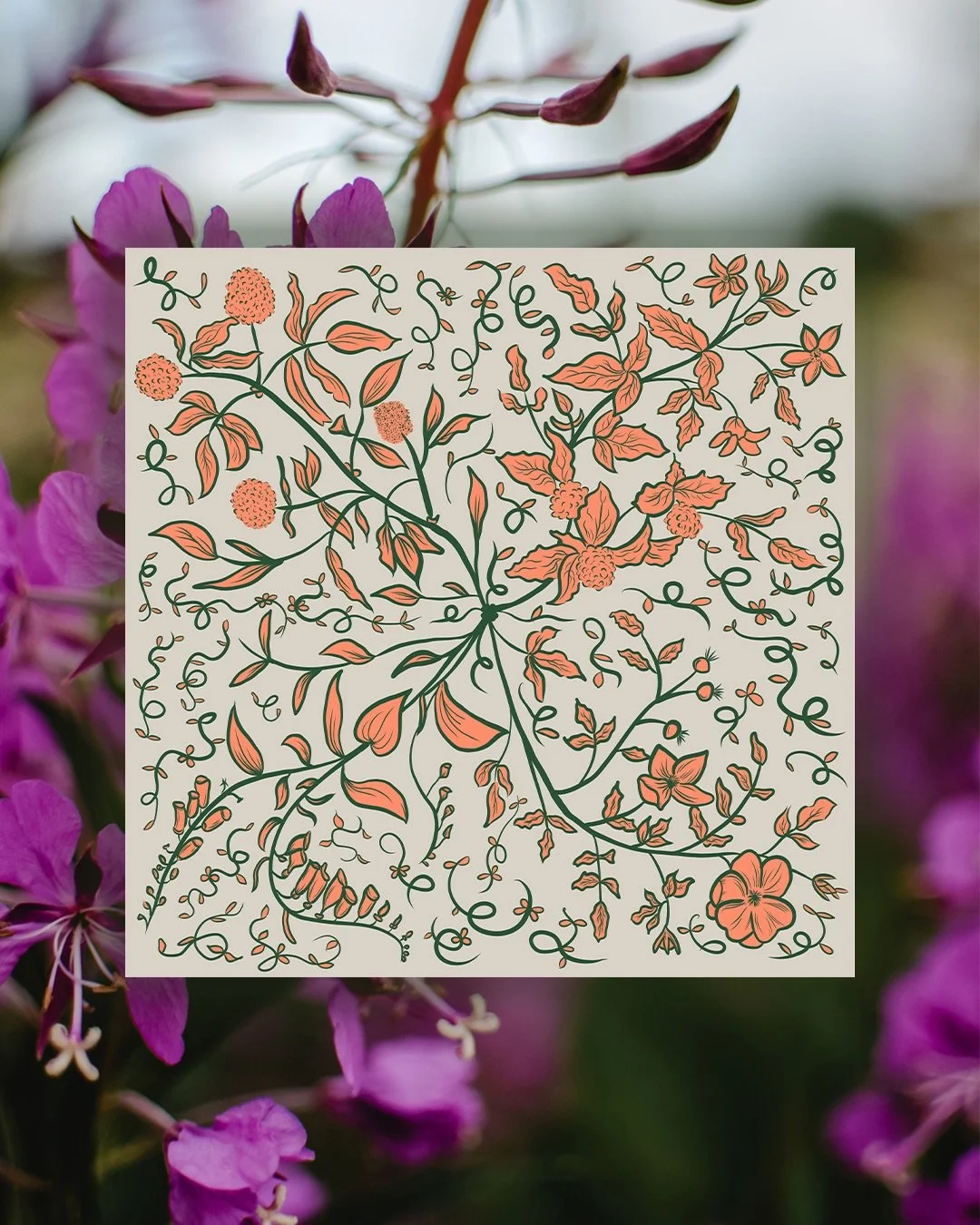 I&rsquo;m not quite ready for summer to be over, and I never get tired of seeing the flowers of Juneau, so it just made sense to turn them into my October Patreon background. 🌿 :)

The $6 digital tier gets you monthly phone + desktop backgrounds, an