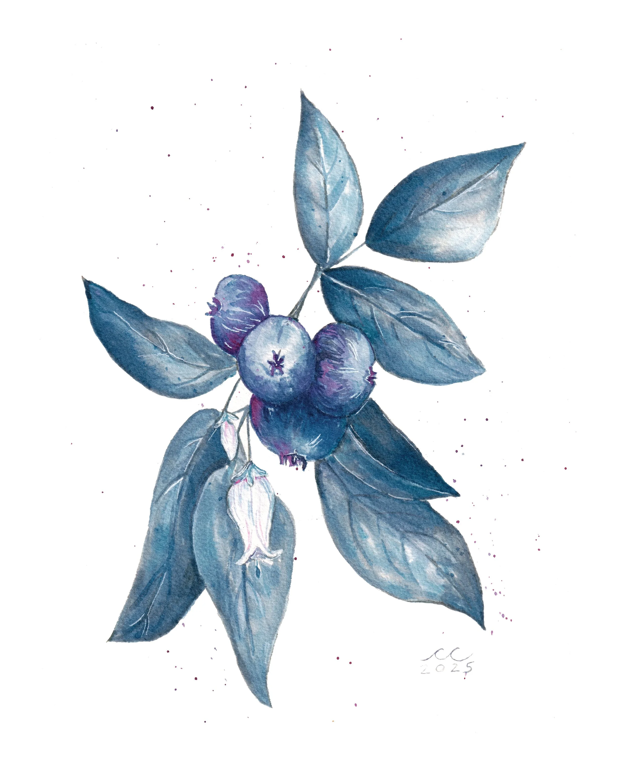 "Blueberry & Blooms"
Natural Blueberry Ink
2025