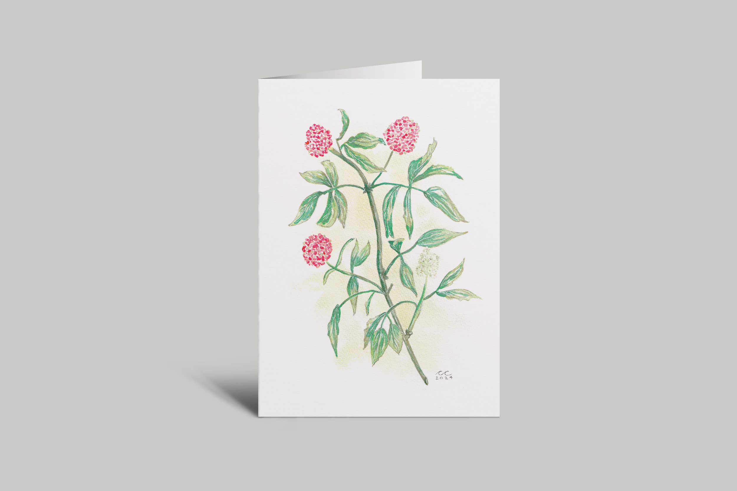 Elderberry Card