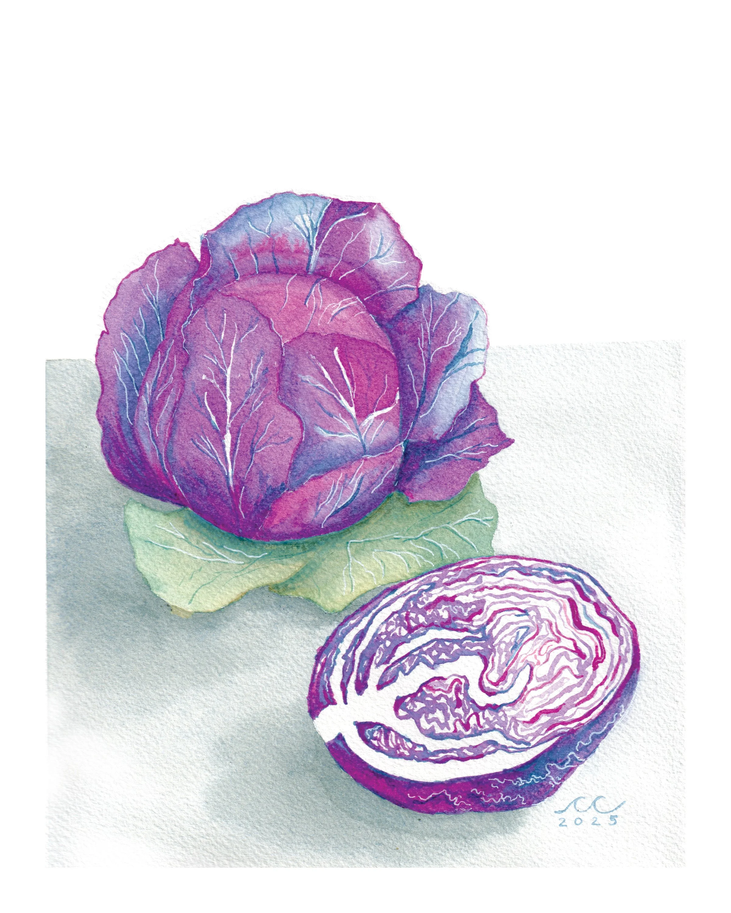 "Red Cabbage"
Natural Red Cabbage Watercolor
2025