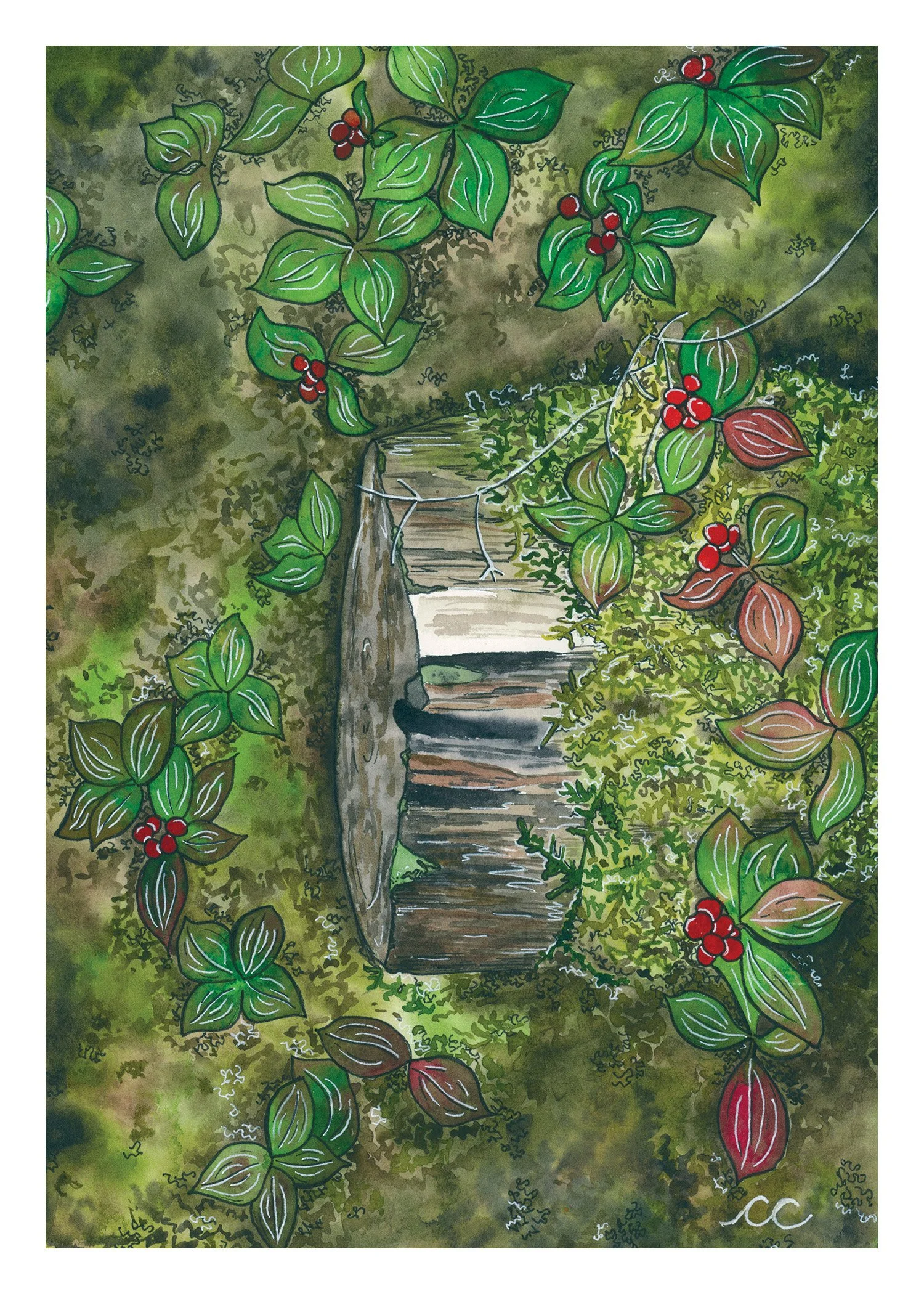 "Dogwood in Autumn"
Watercolor and pen
2022